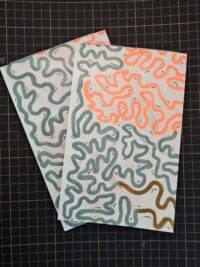 A set of 2 small notebooks